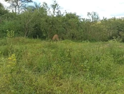 CHÁCARA EM CÓRREGO DO BARRO