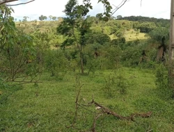 CHÁCARA EM CÓRREGO DO BARRO