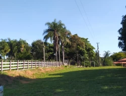 FAZENDA 10HA EM PEQUI