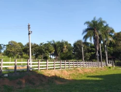 FAZENDA 10HA EM PEQUI