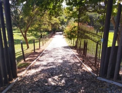 FAZENDA 10HA EM PEQUI