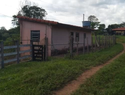 FAZENDA 10HA EM PEQUI