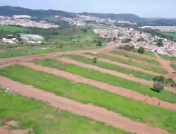 LOTES NOVO JARDIM DAS OLIVEIRAS