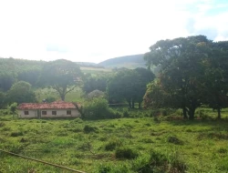 FAZENDA EM CORREIAS, MUNICÍPIO DE PEQUI