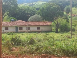FAZENDA EM CORREIAS, MUNICÍPIO DE PEQUI