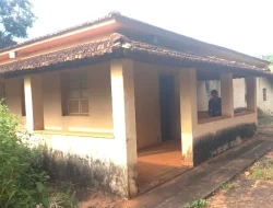 FAZENDA EM CORREIAS, MUNICÍPIO DE PEQUI