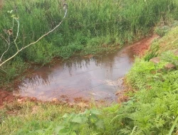 FAZENDA EM CORREIAS, MUNICÍPIO DE PEQUI