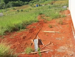LOTES EM TORNEIROS / PARÁ DE MINAS