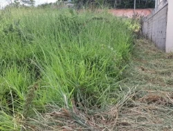 LOTES EM TORNEIROS / PARÁ DE MINAS