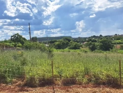 LOTE TORNEIROS / PARÁ DE MINAS