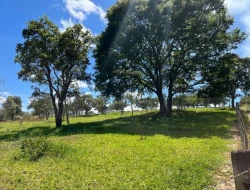 SÍTIO EM SAO JOSÉ DA VARGINHA