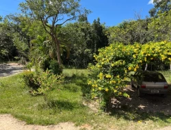 SÍTIO EM SAO JOSÉ DA VARGINHA