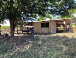 SÍTIO EM SAO JOSÉ DA VARGINHA