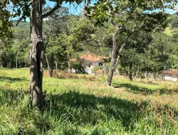 SÍTIO EM SAO JOSÉ DA VARGINHA