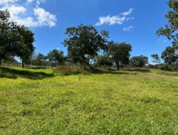 SÍTIO EM SAO JOSÉ DA VARGINHA