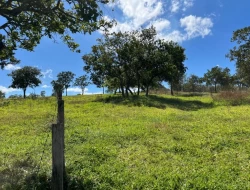 SÍTIO EM SAO JOSÉ DA VARGINHA