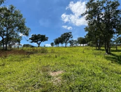 SÍTIO EM SAO JOSÉ DA VARGINHA