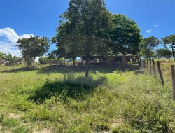 SÍTIO EM SAO JOSÉ DA VARGINHA