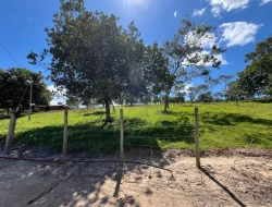 SÍTIO EM SAO JOSÉ DA VARGINHA