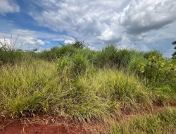 LOTE BAIRRO SENADOR VALADARES