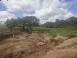 FAZENDINHA 16 HECTARES EM CONCEIÇÃO DO PARÁ