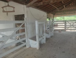 FAZENDINHA 16 HECTARES EM CONCEIÇÃO DO PARÁ