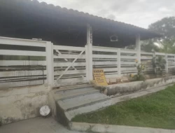 FAZENDINHA 16 HECTARES EM CONCEIÇÃO DO PARÁ