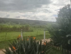FAZENDINHA 16 HECTARES EM CONCEIÇÃO DO PARÁ