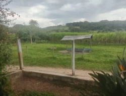 FAZENDINHA 16 HECTARES EM CONCEIÇÃO DO PARÁ