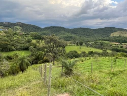 FAZENDA NOS GOMES/ PARÁ DE MINAS