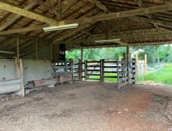 FAZENDA NOS GOMES/ PARÁ DE MINAS