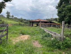 FAZENDA NOS GOMES/ PARÁ DE MINAS
