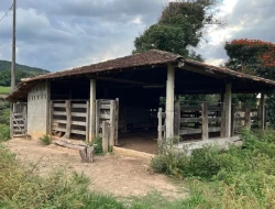 FAZENDA NOS GOMES/ PARÁ DE MINAS