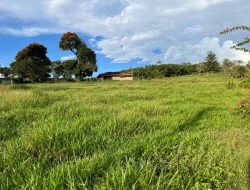 FAZENDA NOS GOMES/ PARÁ DE MINAS