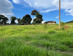 FAZENDA NOS GOMES/ PARÁ DE MINAS