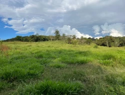 FAZENDA NOS GOMES/ PARÁ DE MINAS