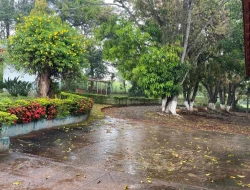 SÍTIO EM CAPOEIRA GRANDE