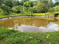 SÍTIO EM CAPOEIRA GRANDE
