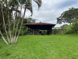 SÍTIO EM CAPOEIRA GRANDE