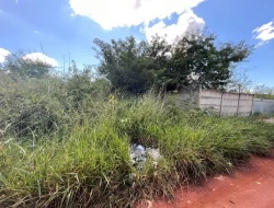 LOTE BAIRRO SENADOR VALADARES