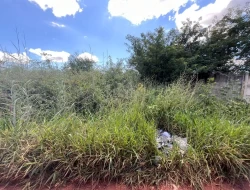 LOTE BAIRRO SENADOR VALADARES