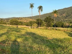 FAZENDA RIO DO PEIXE/ONÇA PITANGUI