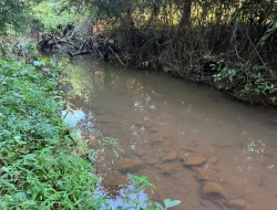 FAZENDA RIO DO PEIXE/ONÇA PITANGUI