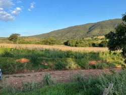 FAZENDA RIO DO PEIXE/ONÇA PITANGUI