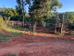 FAZENDA RIO DO PEIXE/ONÇA PITANGUI