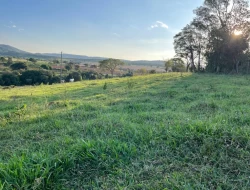 FAZENDA RIO DO PEIXE/ONÇA PITANGUI