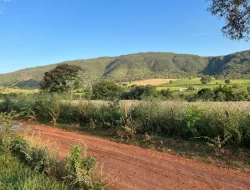 FAZENDA RIO DO PEIXE/ONÇA PITANGUI