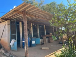 FAZENDINHA EM  RIO DO PEIXE