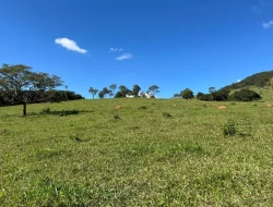 FAZENDINHA EM  RIO DO PEIXE