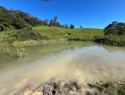 FAZENDINHA EM  RIO DO PEIXE